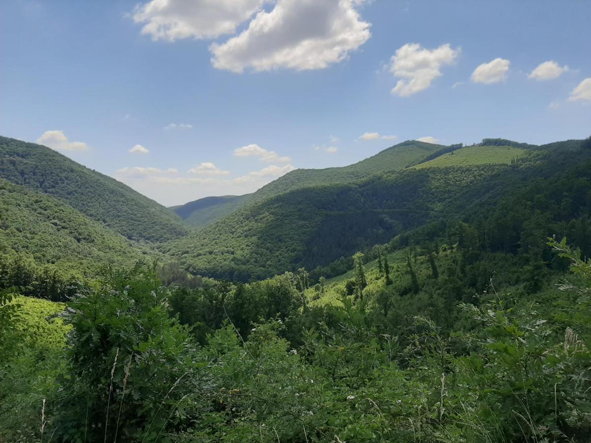 E-Tekergok Haza Otel Bukkzserc Dış mekan fotoğraf